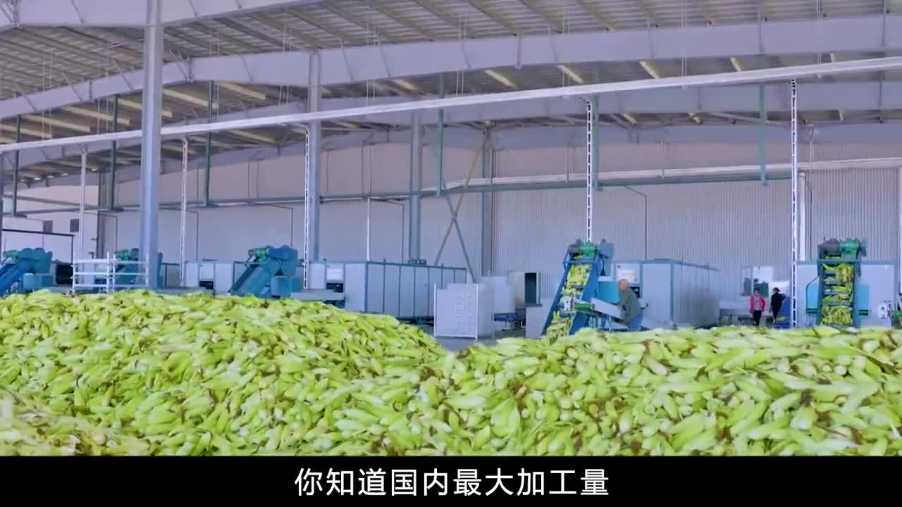 糯玉米是如何加工的