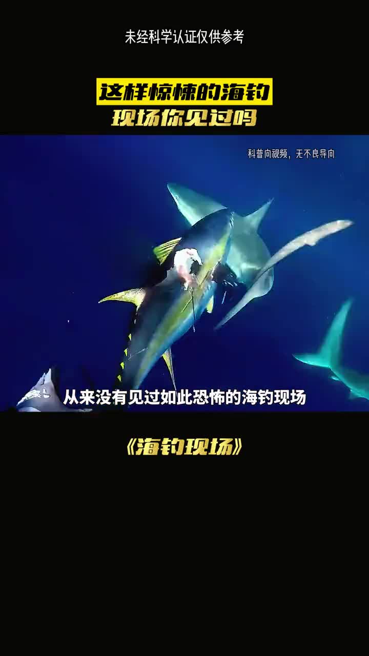 捕鱼现场有多惨虐