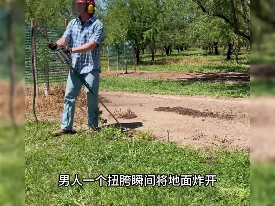 真正来自森林的饮料