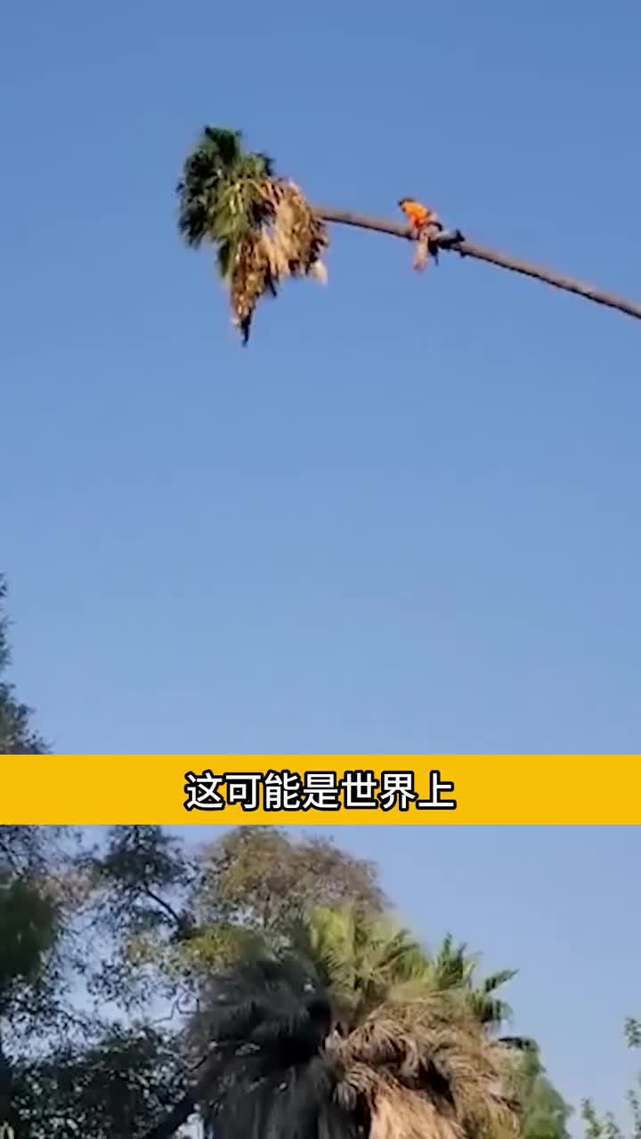 这么危险的工作大开眼界