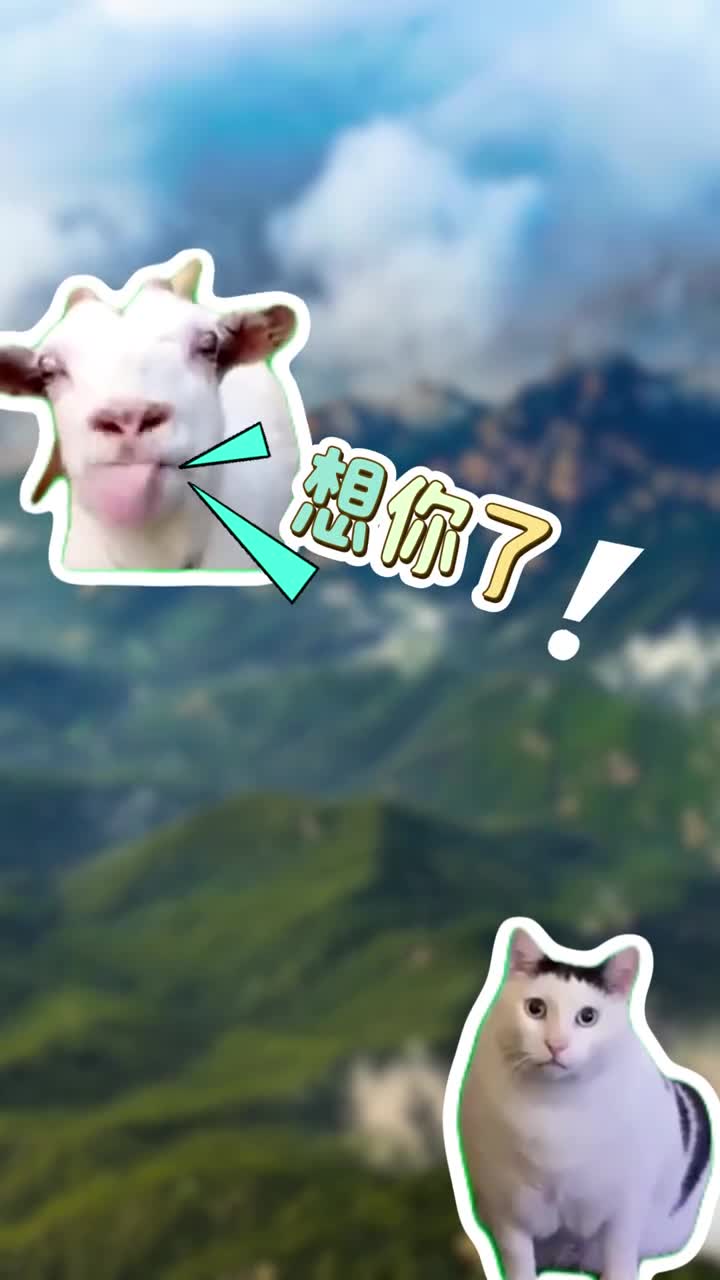 九月九日忆山东兄弟今天重阳节快来山东和鲁鲁抱一下