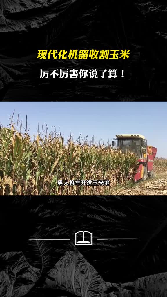 现代化机器收割玉米厉不厉害你说了算