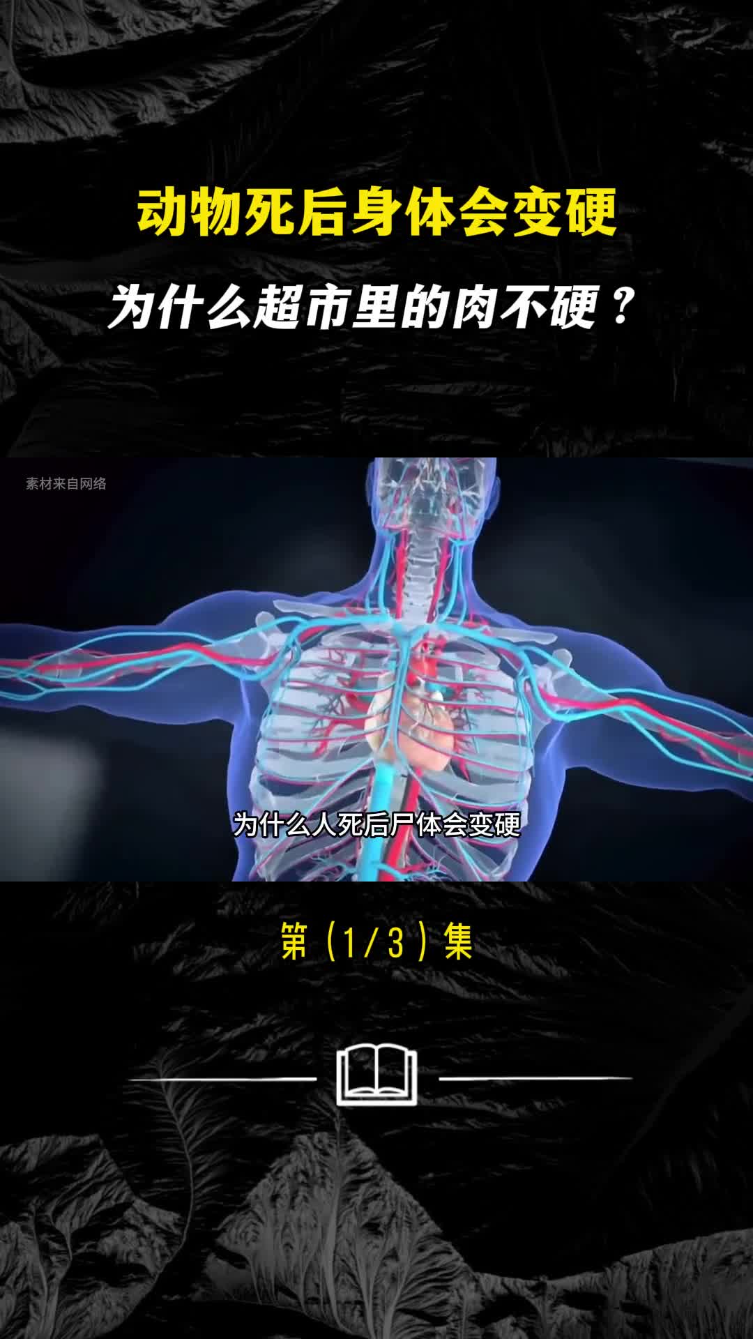 动物死后身体会变硬为什么超市里的肉不硬
