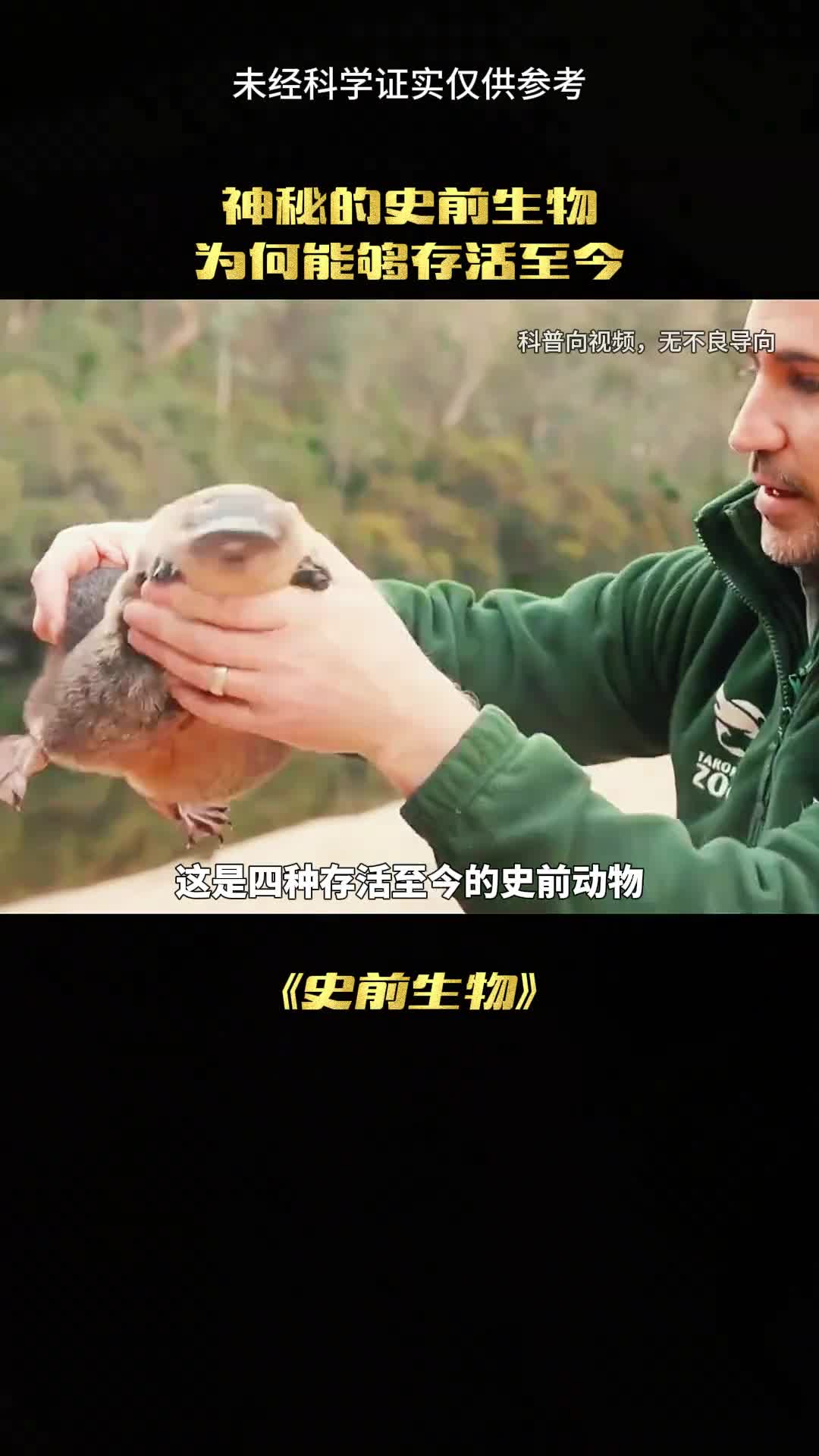 这些史前生物真的存在吗