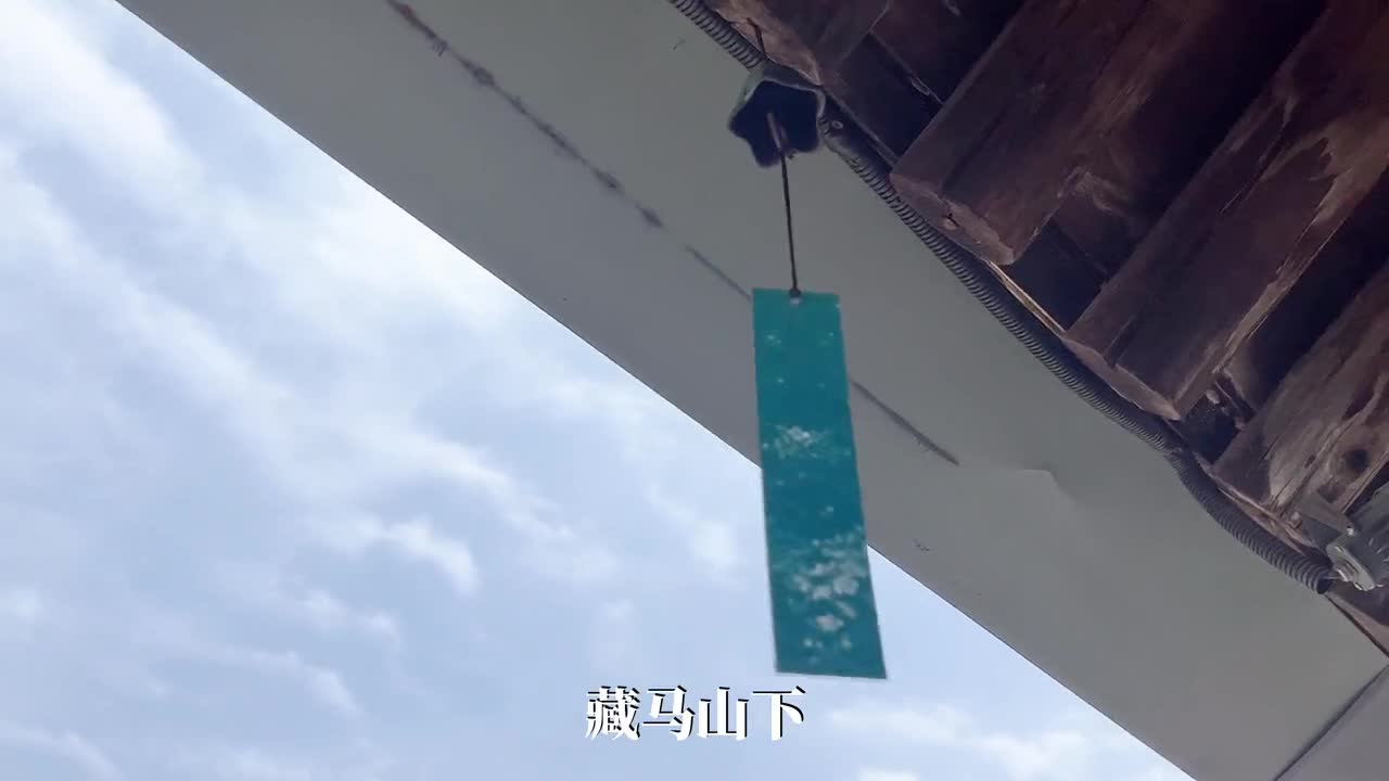 一朝步入画卷一日梦回千年来阿朵花屿带你穿越大唐盛世