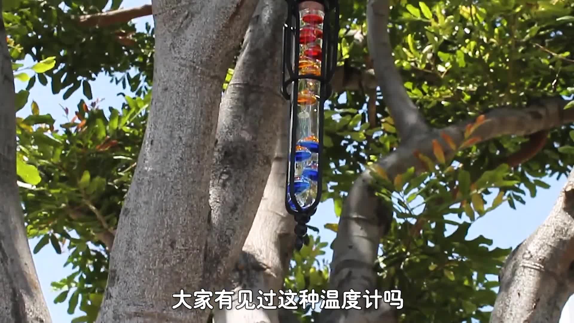 神奇的伽利略温度计凭彩色小球就能看温度什么原理