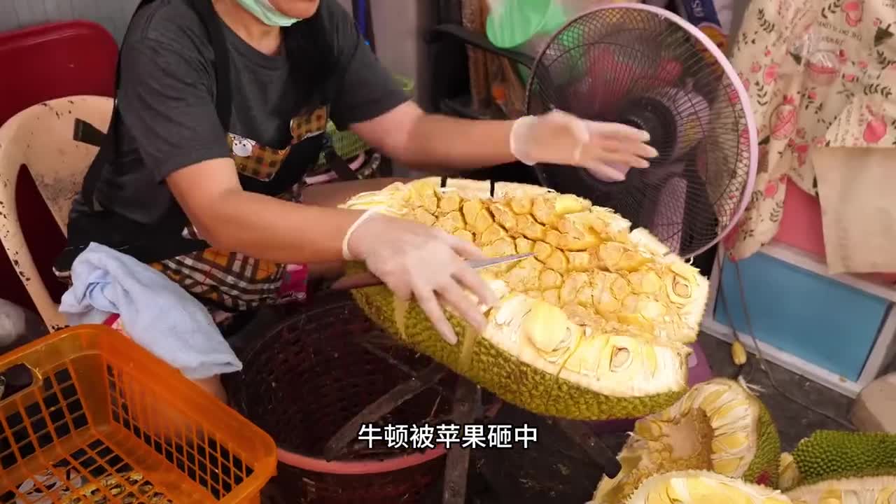 原来菠萝蜜干是这样加工的