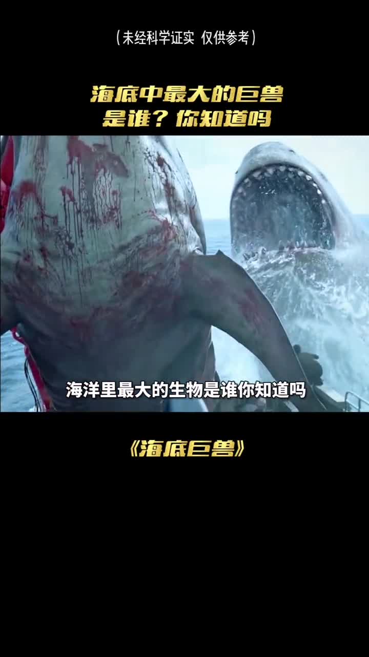 海洋里最大的生物你知道是谁吗