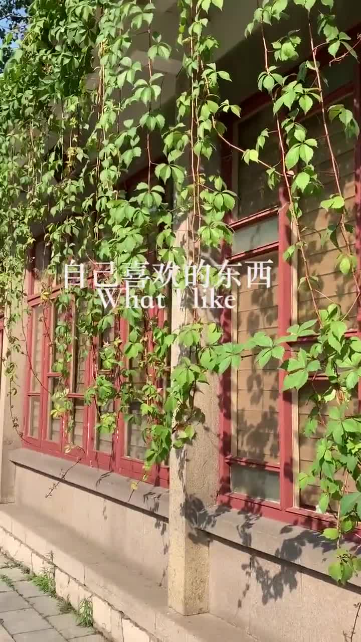 假期过半喜欢旅行的你是否已在路上