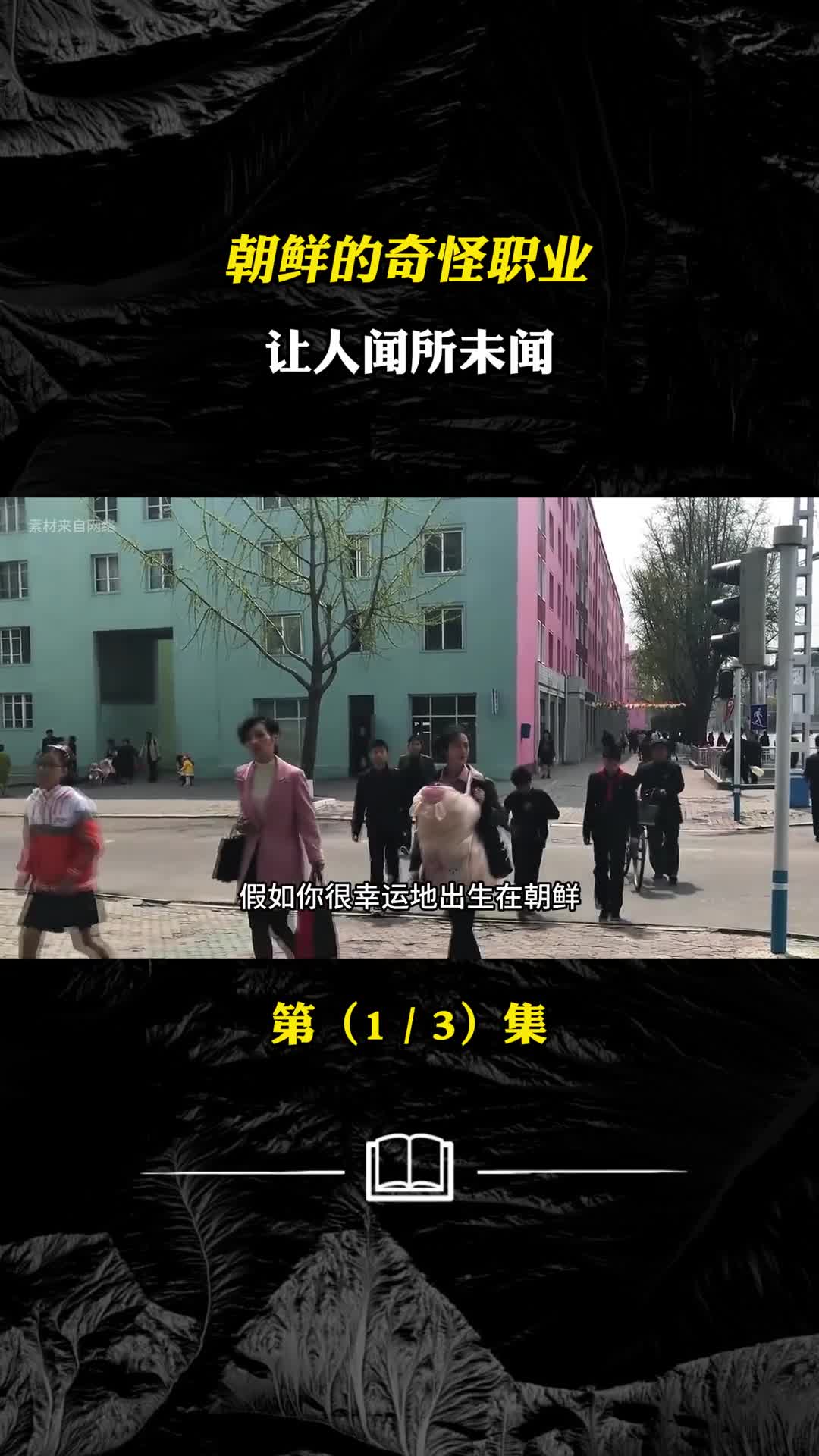 朝鲜的奇怪职业工作内容很奇葩地位却很高