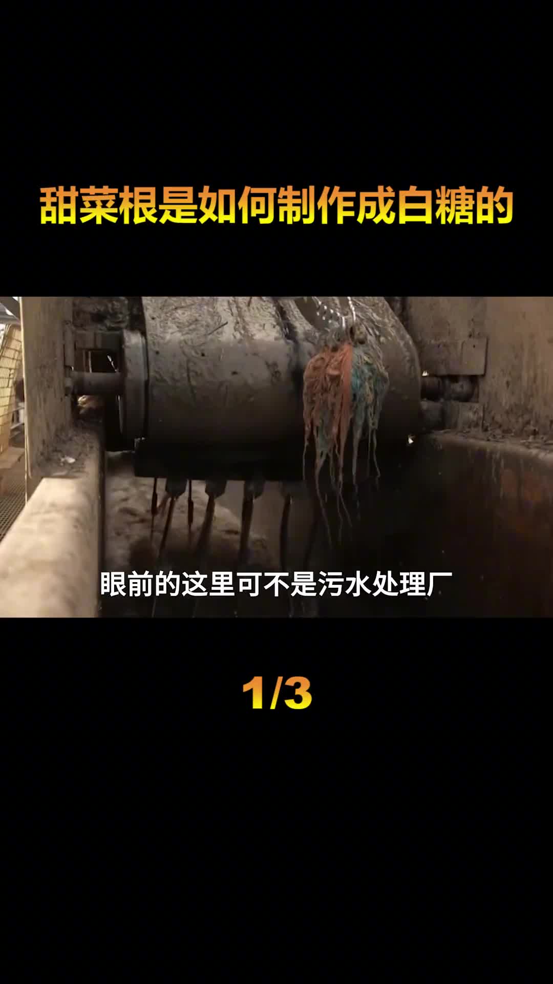 探访甜菜根工厂揭秘白糖生产的全过程工厂环境竟然堪比下水道