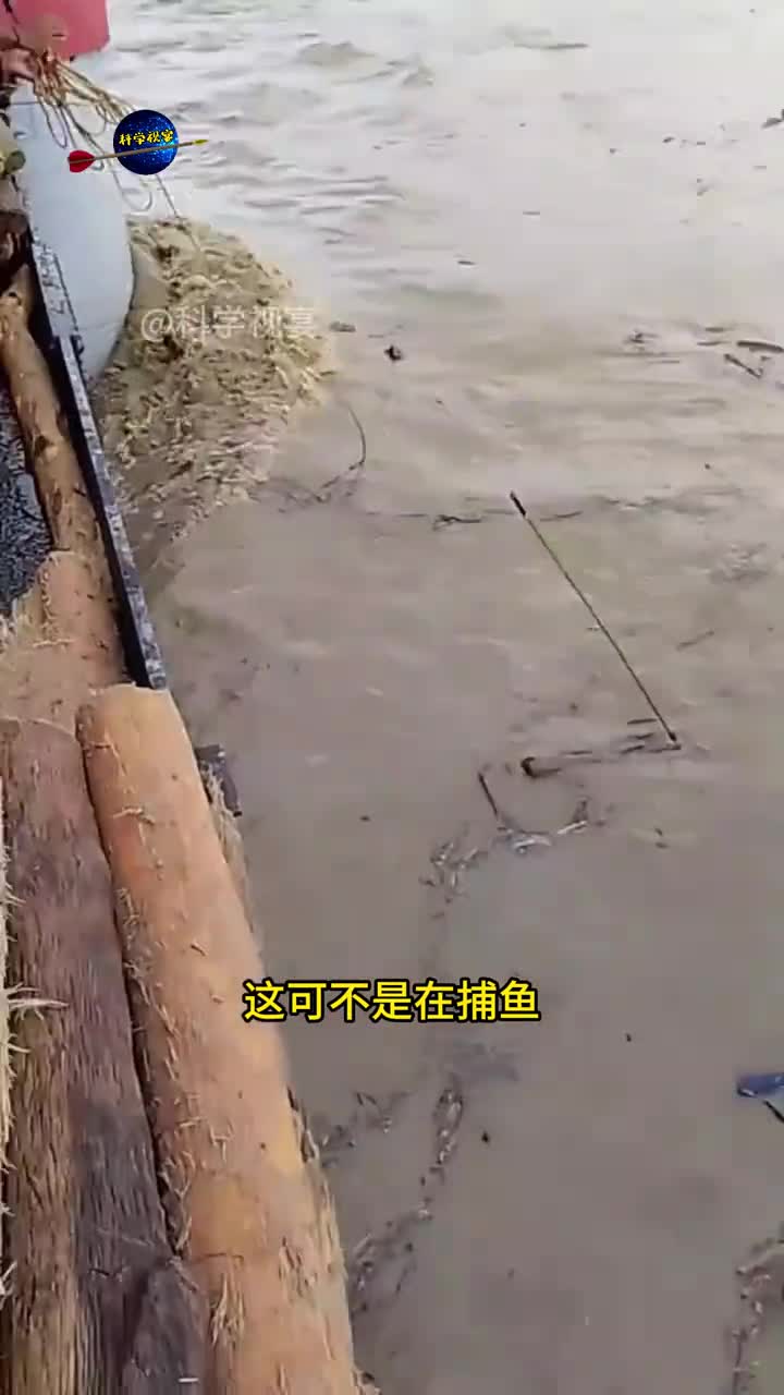 尼泊尔居民用鱼叉打捞原木