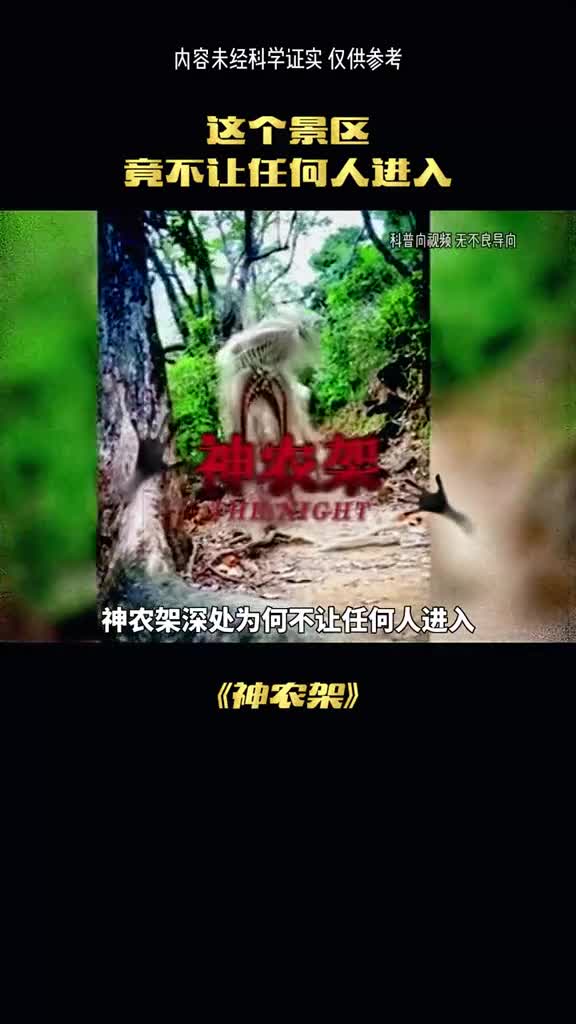 神农架深处为何不让任何人进