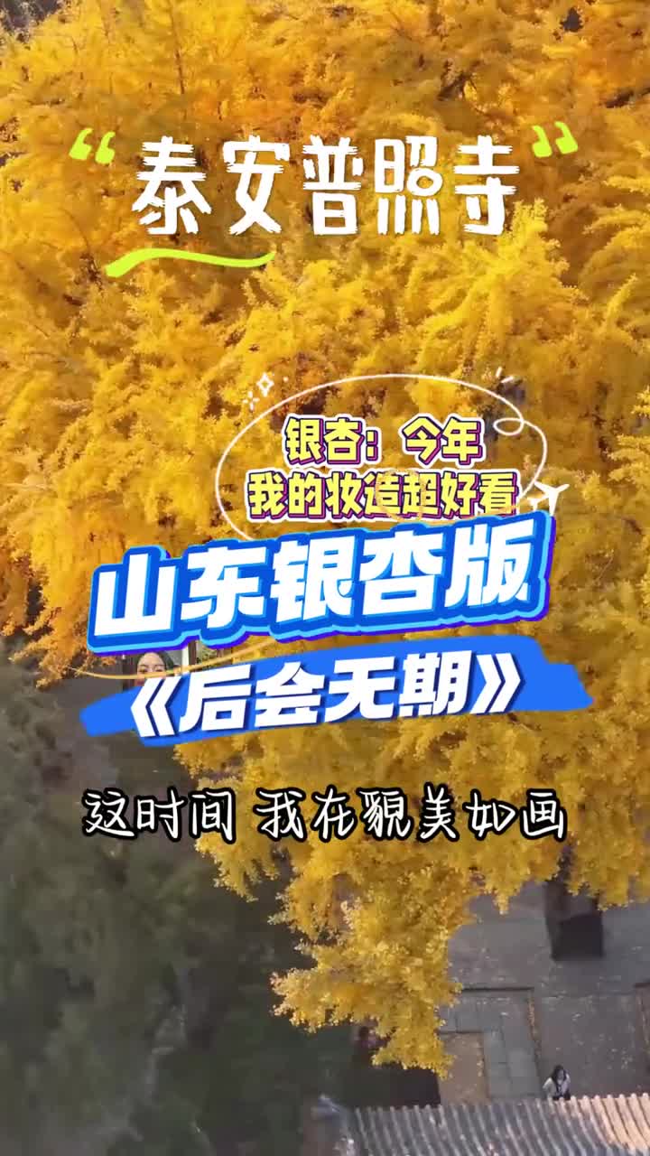 后会无期山东银杏版快来山东看一眼银杏吧不然又要遗憾一年