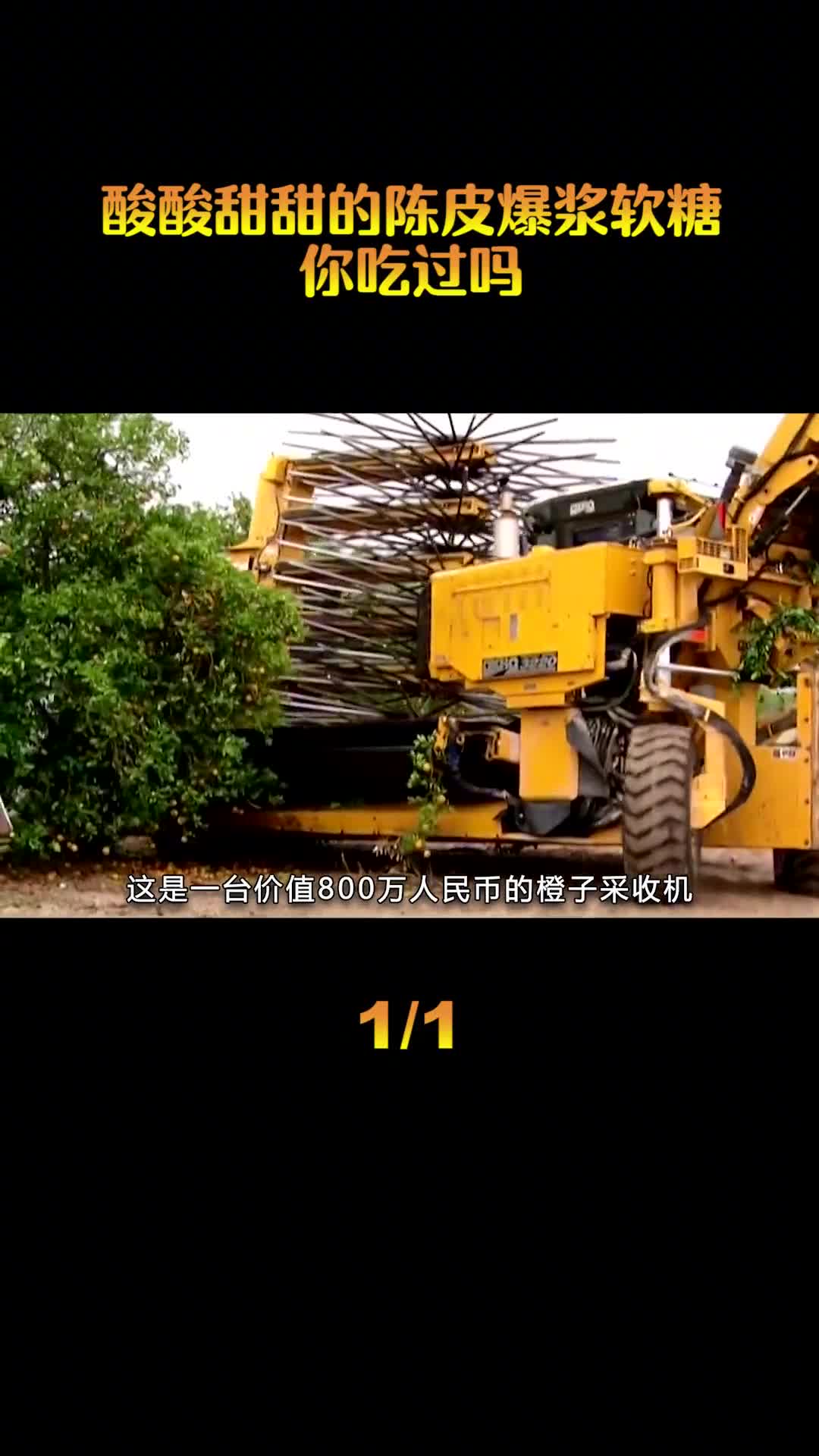 陈皮糖居然也有夹心的