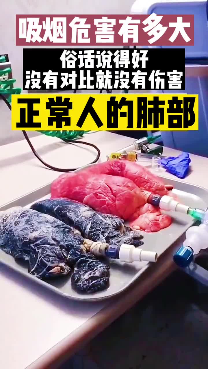 抽烟的危害有多大