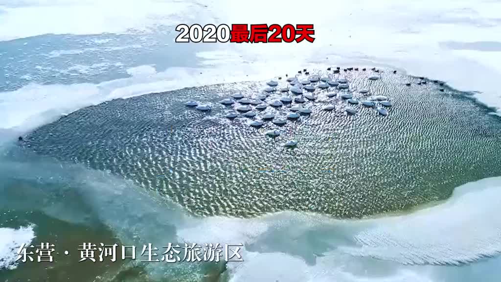 2020最后20天山东想见你