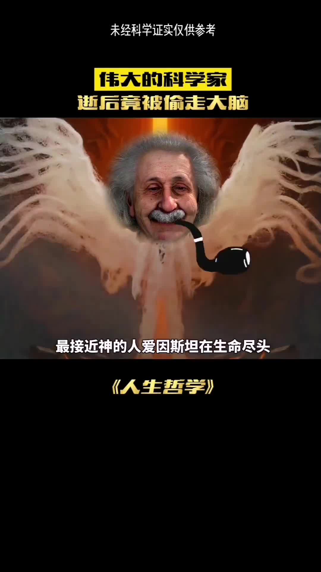巅峰的大脑爱因斯沦落为垃圾