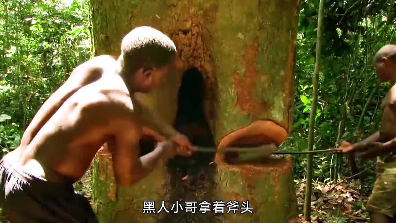 来自巴西的鲍鱼果你吃过吗