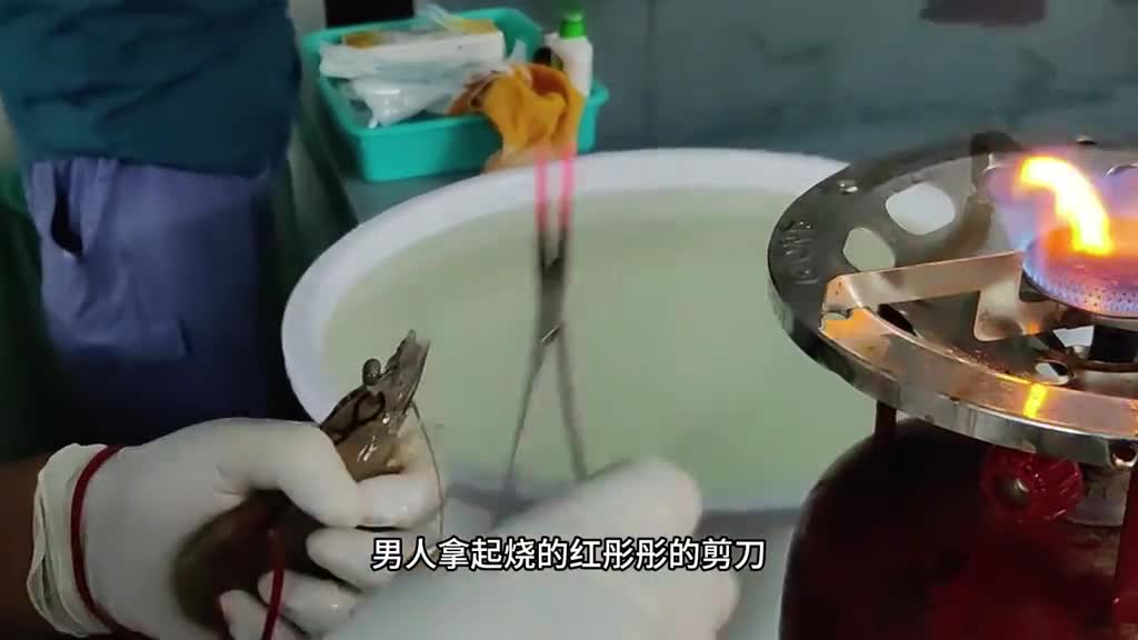 开袋即食的被窝零食凤尾虾干一整个虾酥脆可口嚼劲十足真的太好吃了