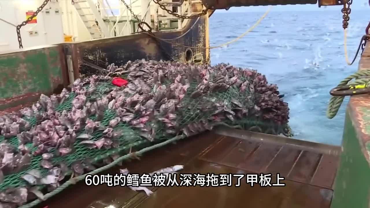 原来还有会爆浆的鳕鱼肠软软弹弹还超大一根一口爆浆真的太好吃了