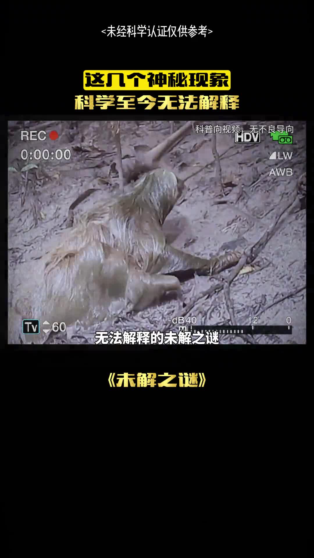 这几个神秘现象你知道吗