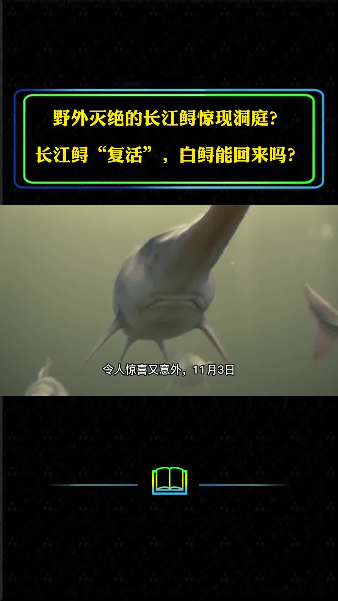野外灭绝的长江鲟惊现洞庭长江鲟复活白鲟能回来吗