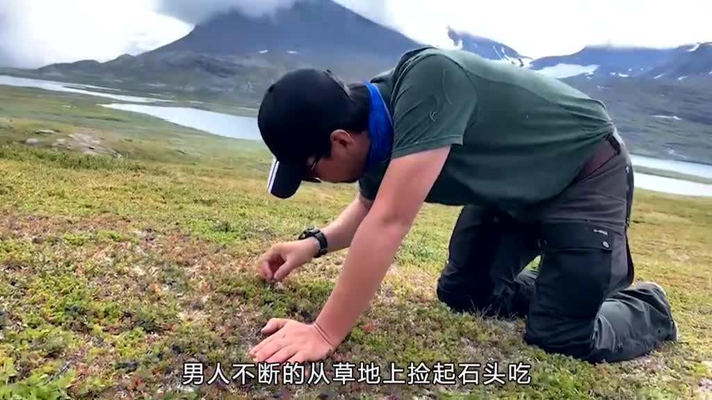 蓝莓干是如何制作的