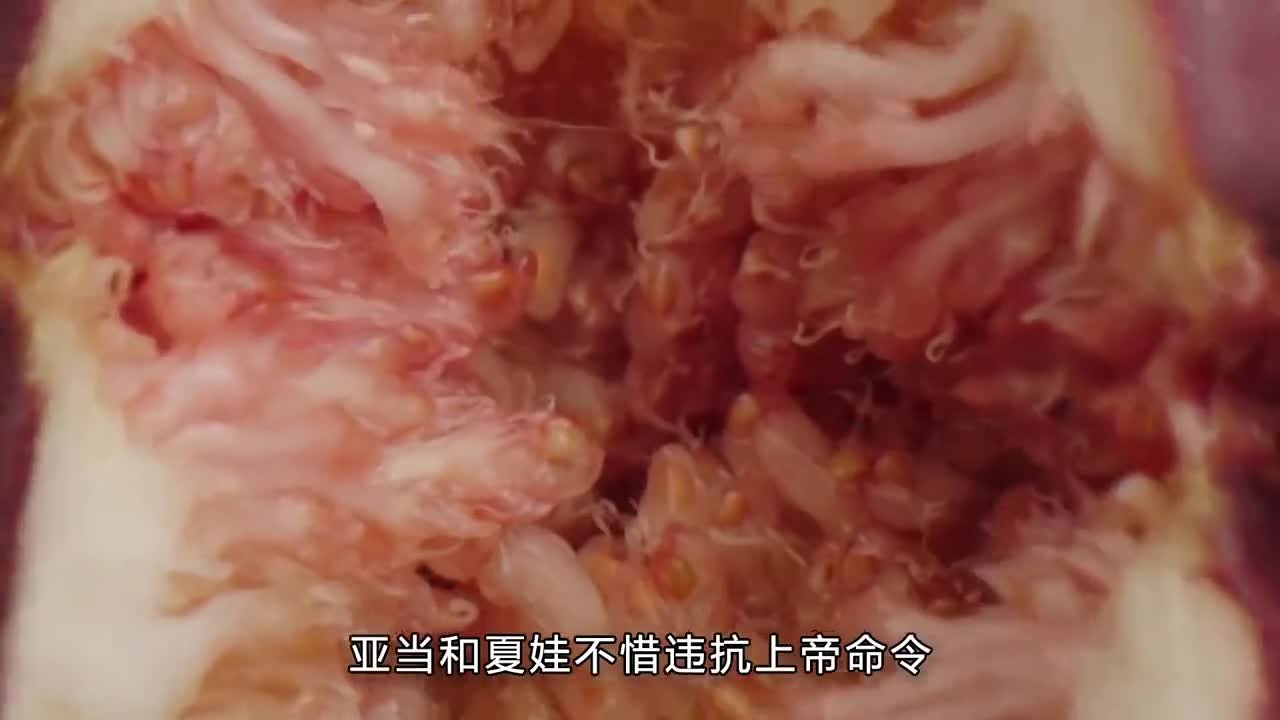 无花果干你吃过吗