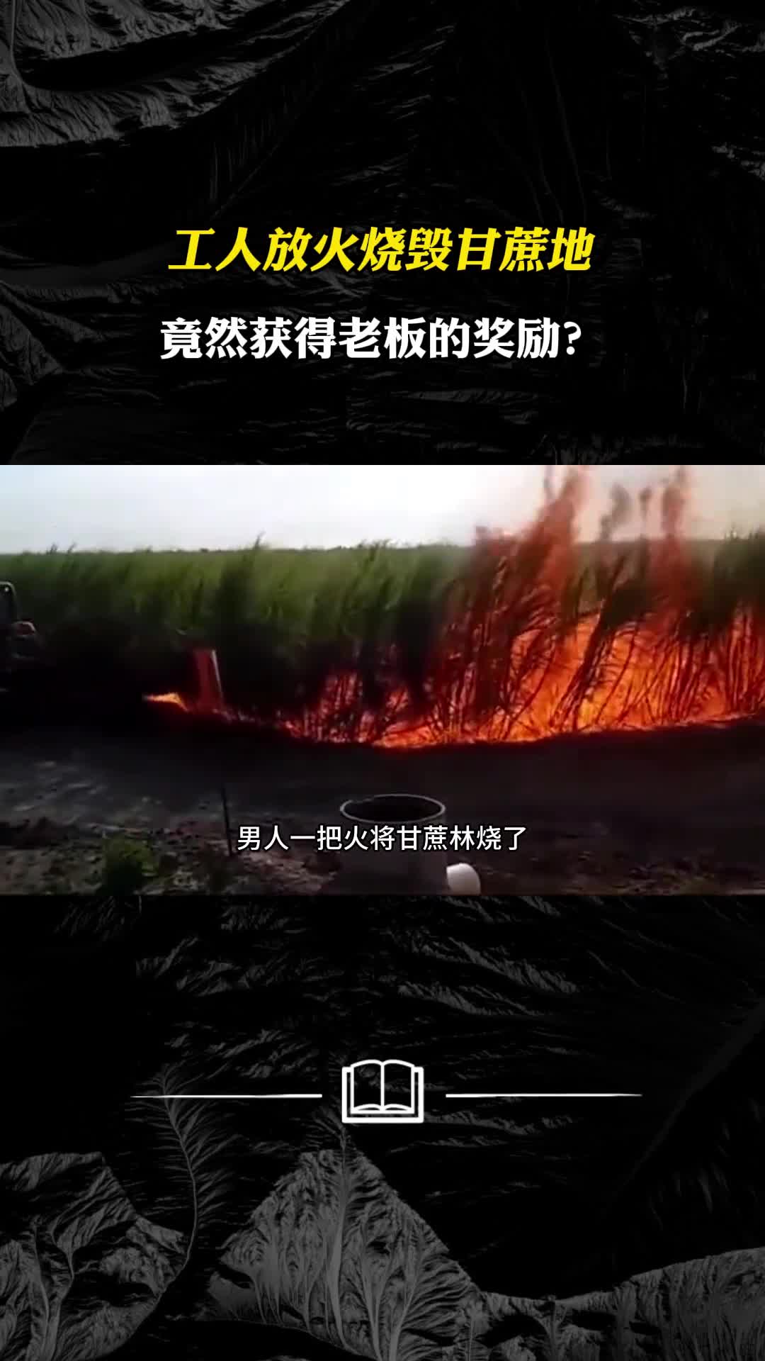 工人放火烧毁甘蔗地竟然获得老板的奖励