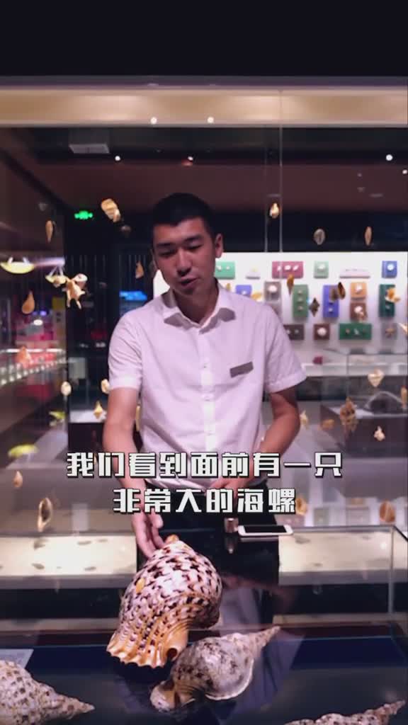 一螺两用既是号角又是纯天然环绕立体音箱大自然的鬼斧神工真是妙