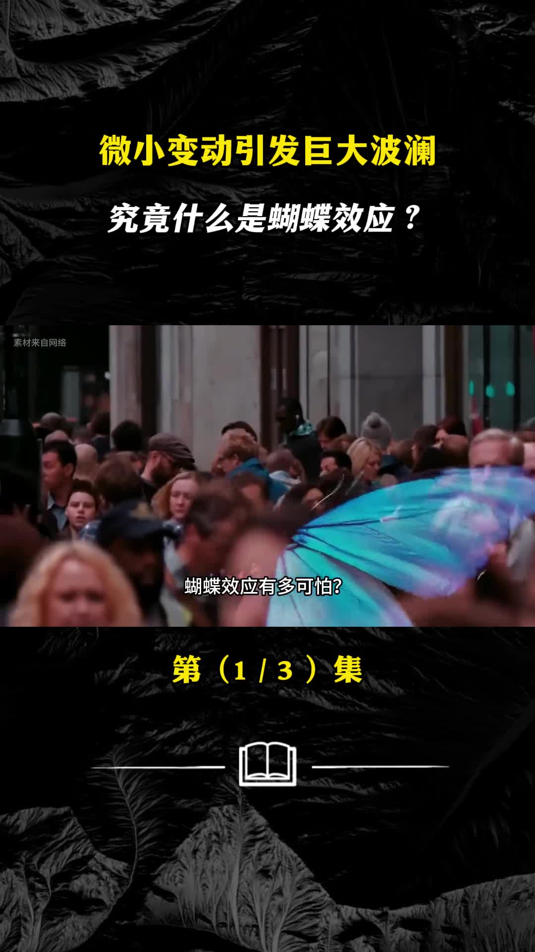 蝴蝶扇动翅膀引发飓风它与我们的生活有关联吗