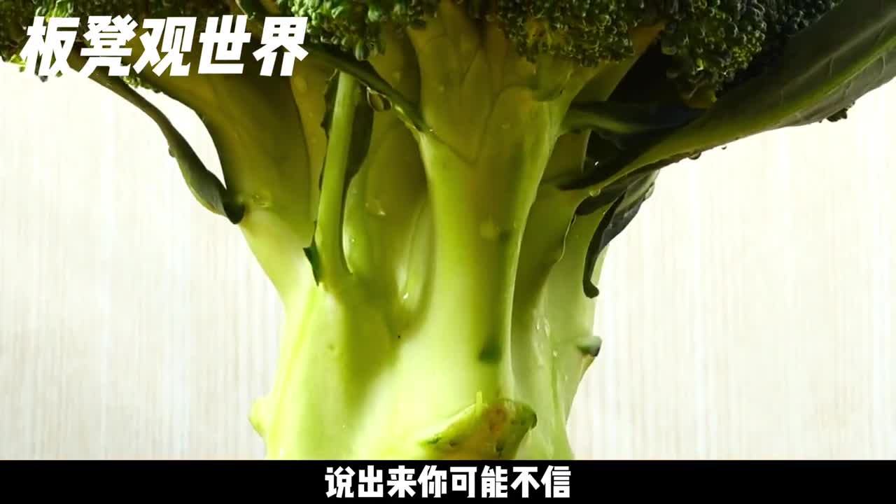 一包西蓝花种子18000元这是个心酸的故事