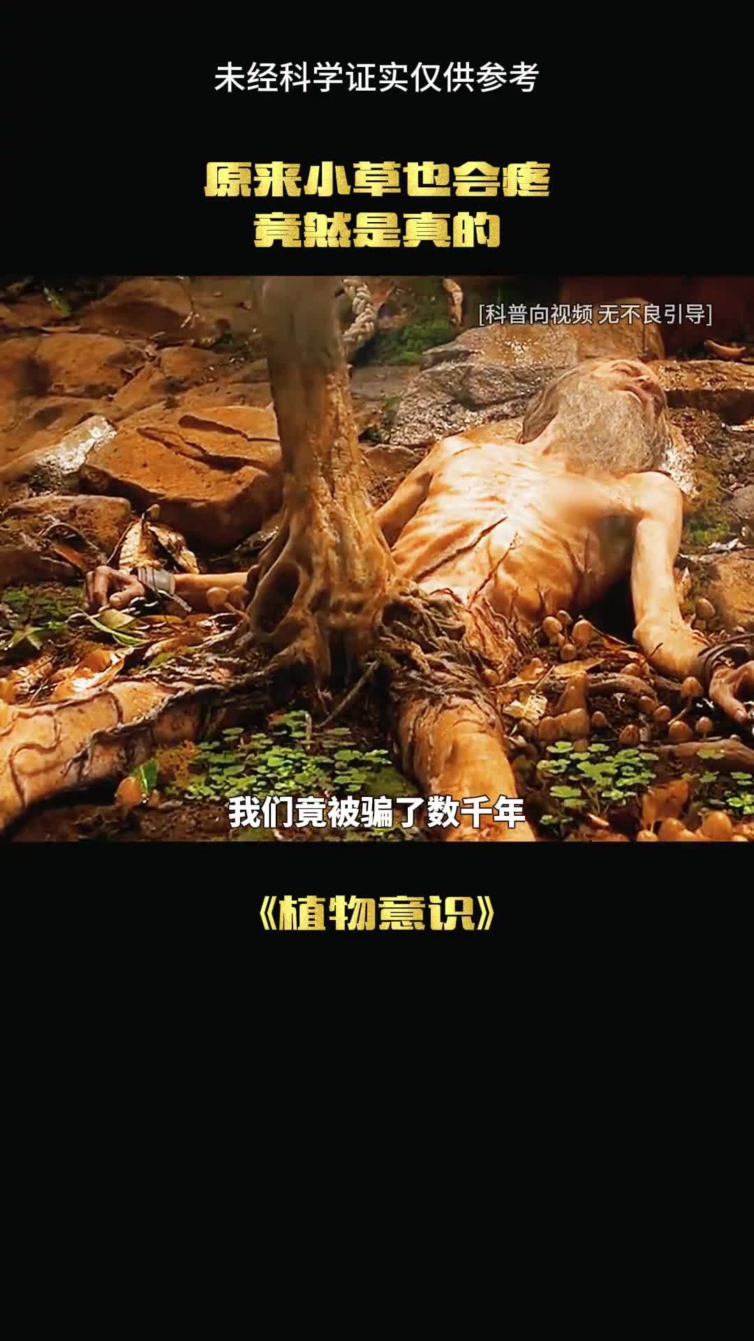 我们竟然被骗了数千年