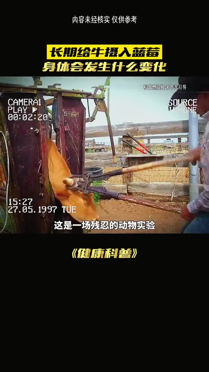 补充一个月的蓝莓和叶黄素会怎么样