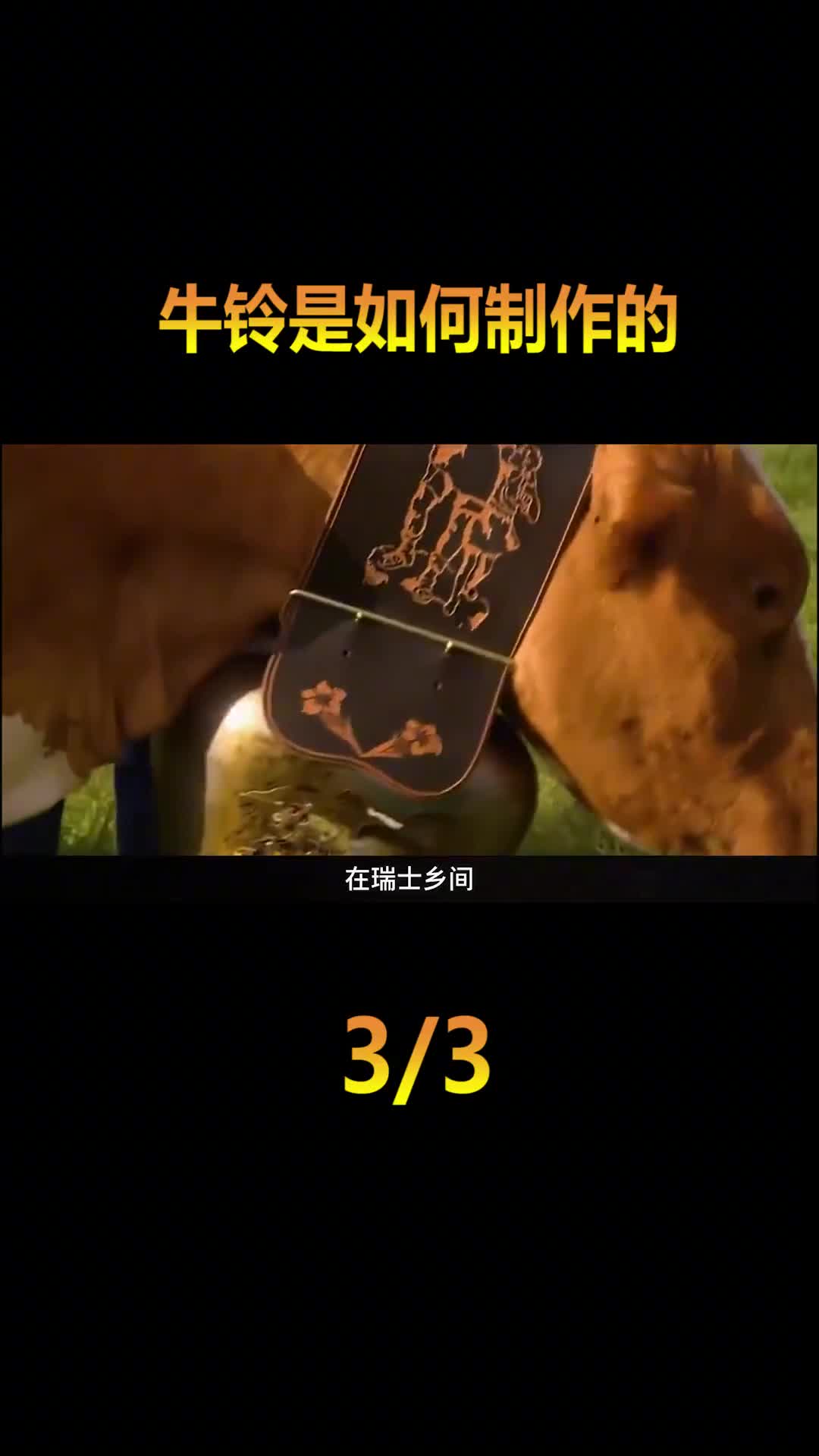 比牛头还大的牛铃1个就重达十几公斤价格比牛还贵