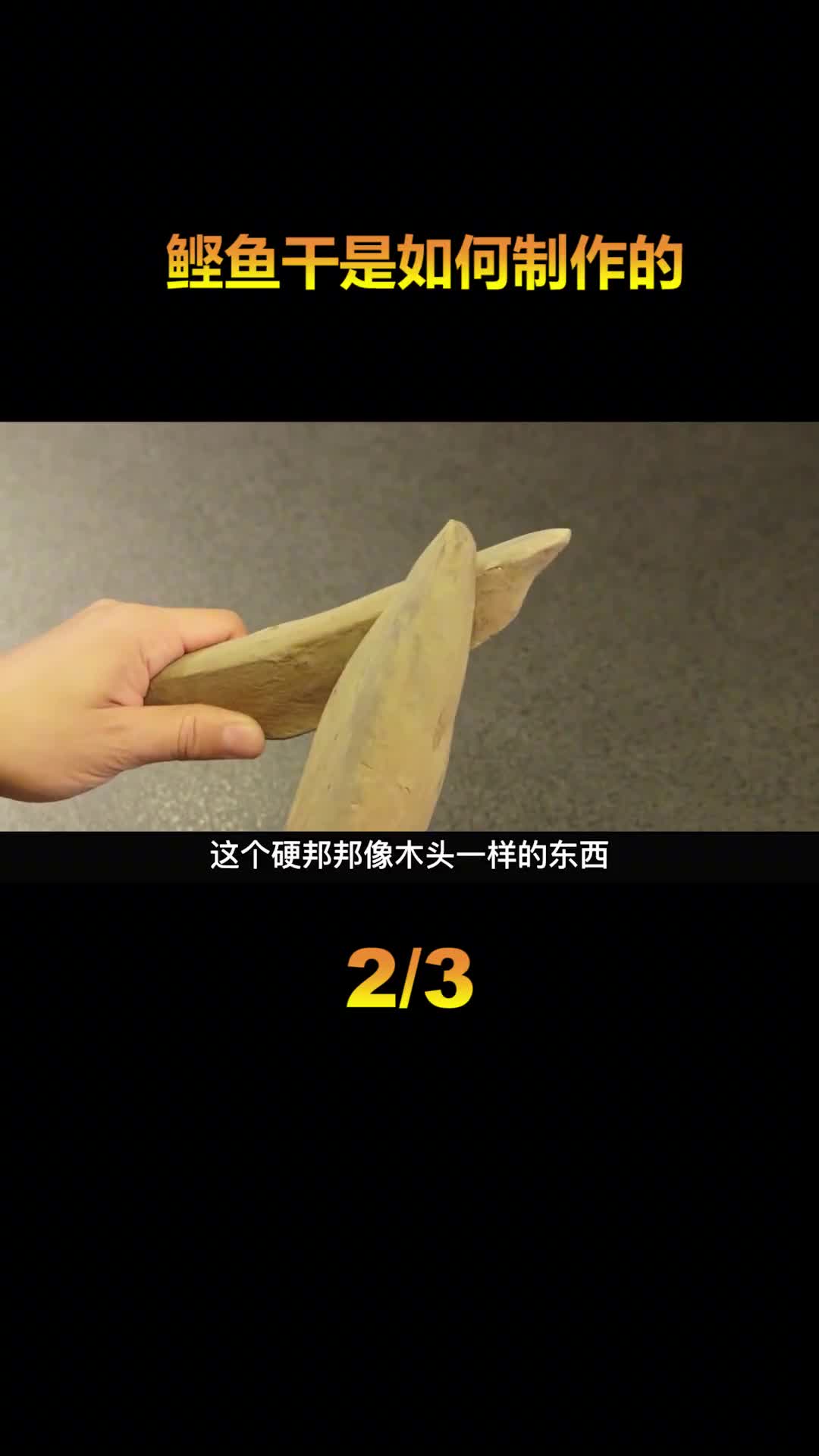 吉尼斯记录世界最硬的食物鲣鱼干