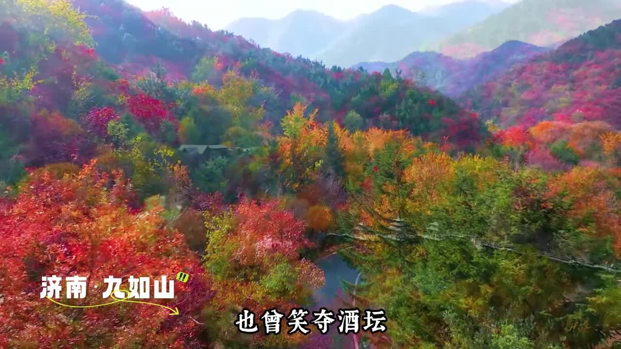 分享鲁鲁的宝藏歌单曲尽陈情搭配山东的独家美景有没有戳中你的心呀