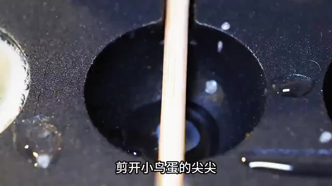 鹌鹑蛋是如何生产的