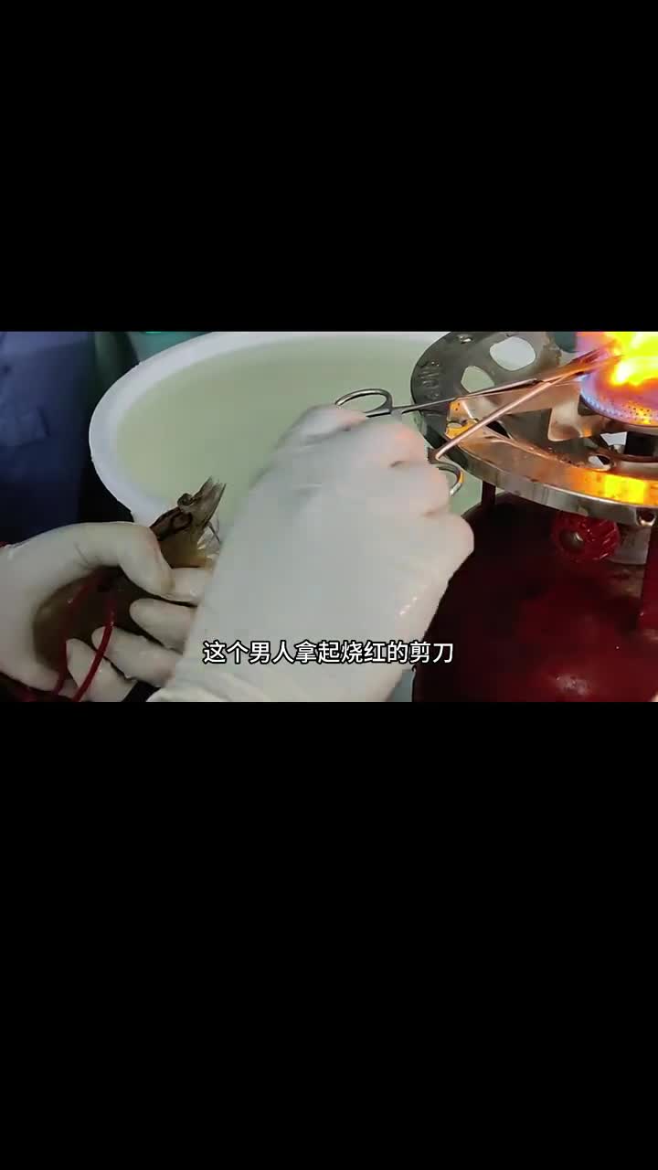 这个凤尾虾干也太好吃了吧