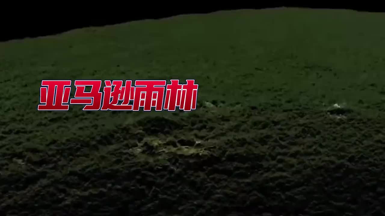 亚马逊雨林深处究竟有多恐怖钻人体内的鱼野人和神秘的第四层