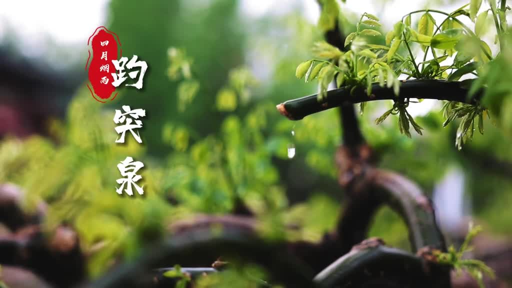 你喜欢温柔的下雨天吗烟雨蒙蒙游人如织雨中的趵突泉别样的美如画