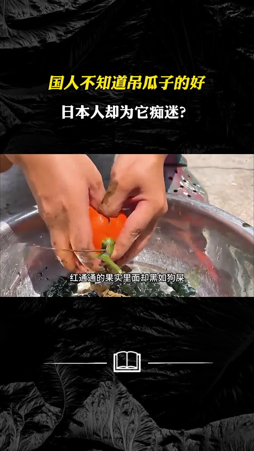 国人不知道吊瓜子的好日本人却为它痴迷