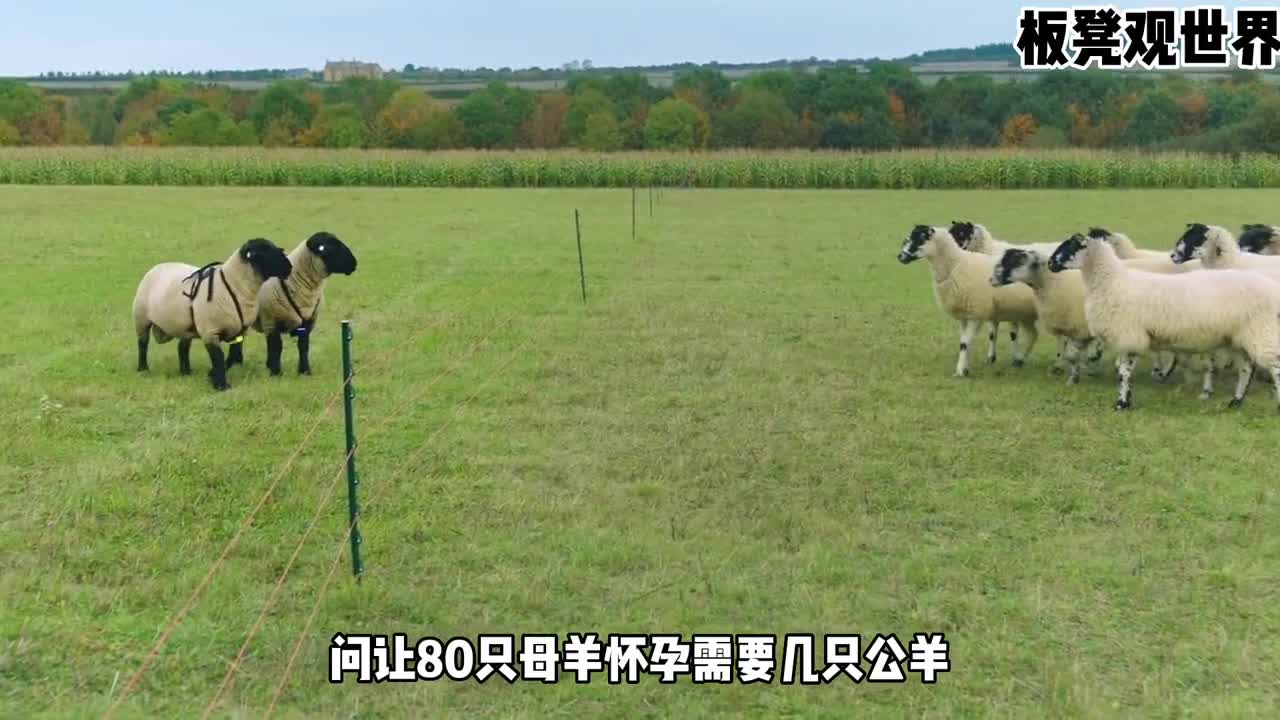 土豪老头到农场体验生活