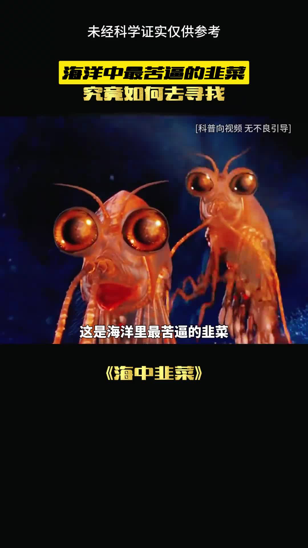 南极磷虾到底有多少