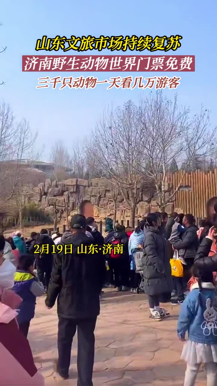 好多人啊山东文旅市场持续复苏济南野生动物世界游客爆满三千只动物每天被几万人参观网友到底是谁看谁