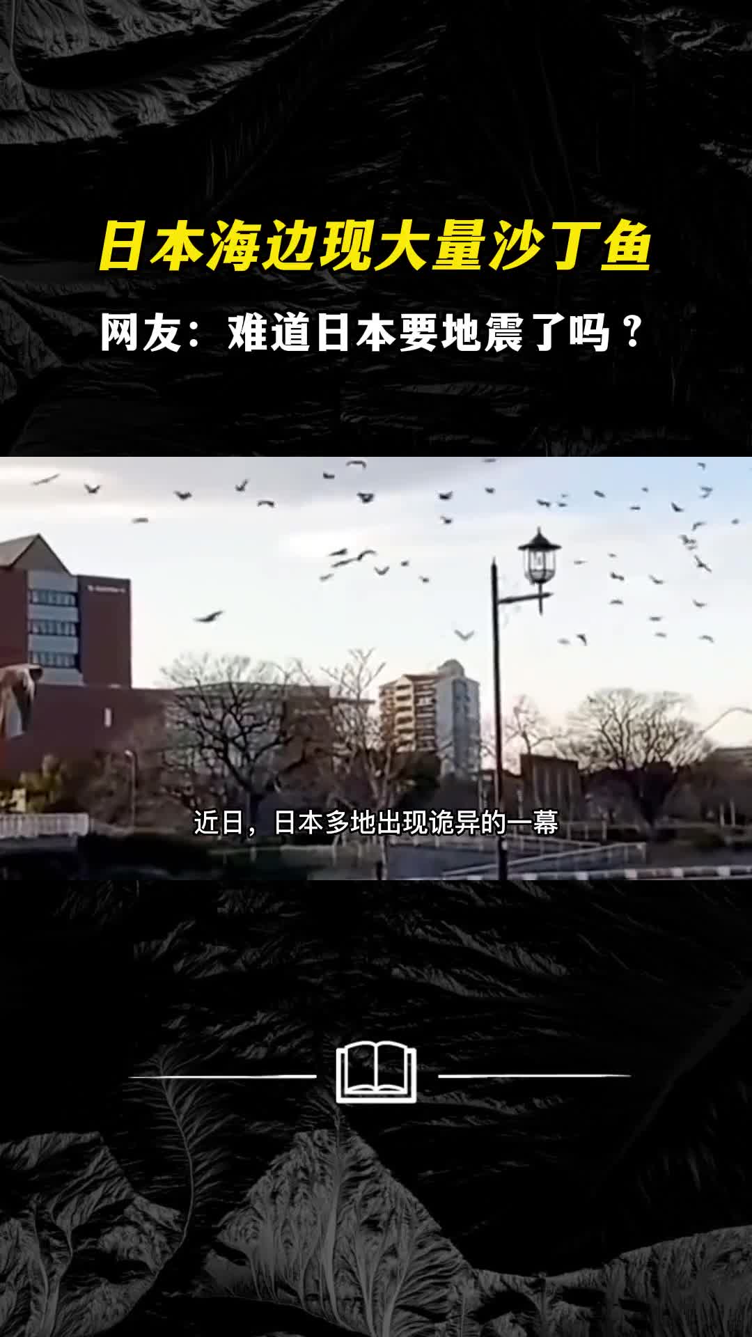 日本海边出现大量沙丁死鱼和乌鸦网友难道要地震了