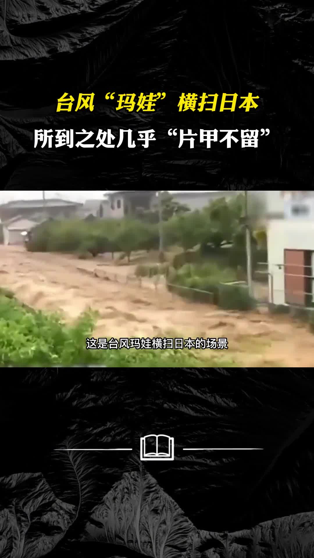 台风玛娃横扫日本所到之处几乎片甲不留