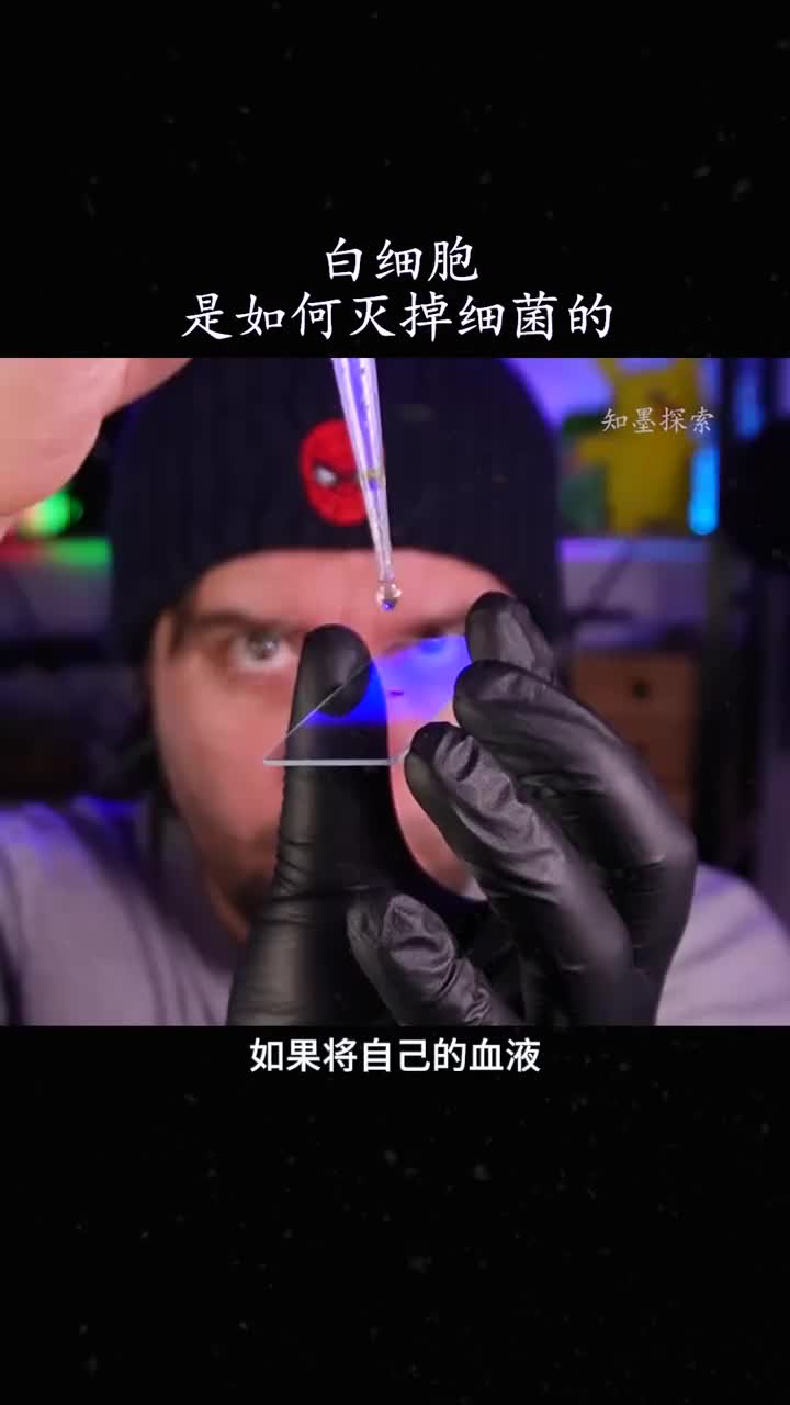 来看白细胞是如何灭掉寄生虫的