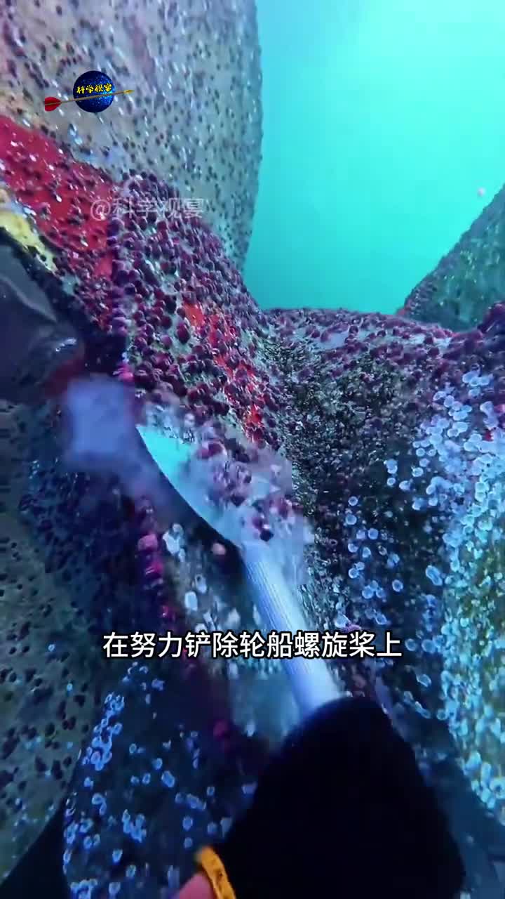 潜水员是如何给船只清理藤壶的